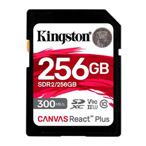 שחזור כרטיס זיכרון Kingston